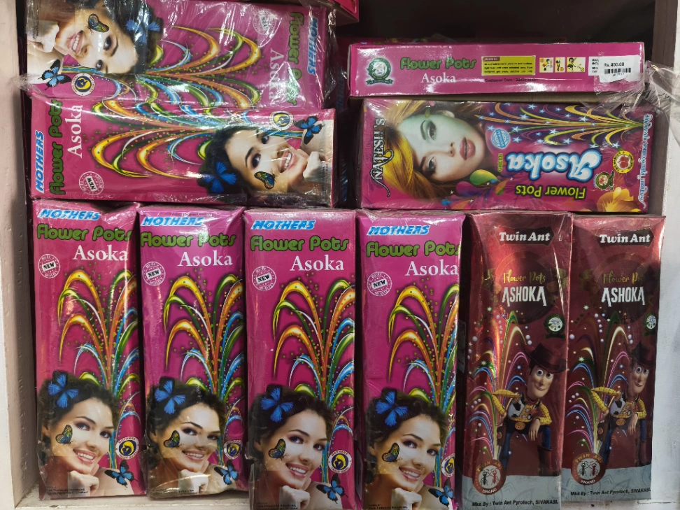 FlowerPots Asoka